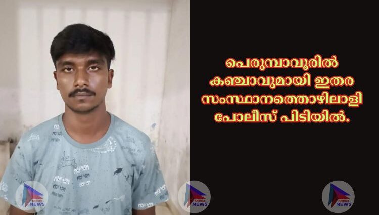 പെരുമ്പാവൂരിൽ കഞ്ചാവുമായി ഇതര സംസ്ഥാനത്തൊഴിലാളി പോലീസ് പിടിയിൽ.