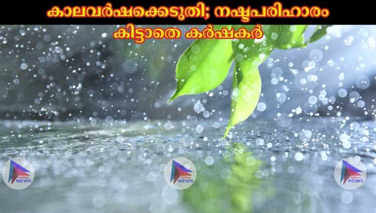 കാലവര്‍ഷക്കെടുതി; നഷ്ടപരിഹാരം കിട്ടാതെ കര്‍ഷകര്‍