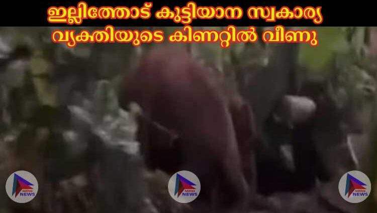 ഇല്ലിത്തോട് കുട്ടിയാന സ്വകാര്യ വ്യക്തിയുടെ കിണറ്റില്‍ വീണു