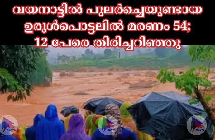 വയനാട്ടിൽ പുലർച്ചെയുണ്ടായ ഉരുള്‍പൊട്ടലില്‍ മരണം 54; 12 പേരെ തിരിച്ചറിഞ്ഞു