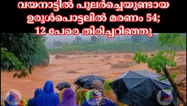 വയനാട്ടിൽ പുലർച്ചെയുണ്ടായ ഉരുള്‍പൊട്ടലില്‍ മരണം 54; 12 പേരെ തിരിച്ചറിഞ്ഞു