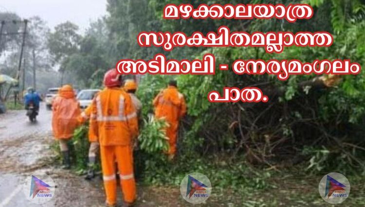 മഴക്കാലയാത്ര സുരക്ഷിതമല്ലാത്ത അടിമാലി - നേര്യമംഗലം പാത.