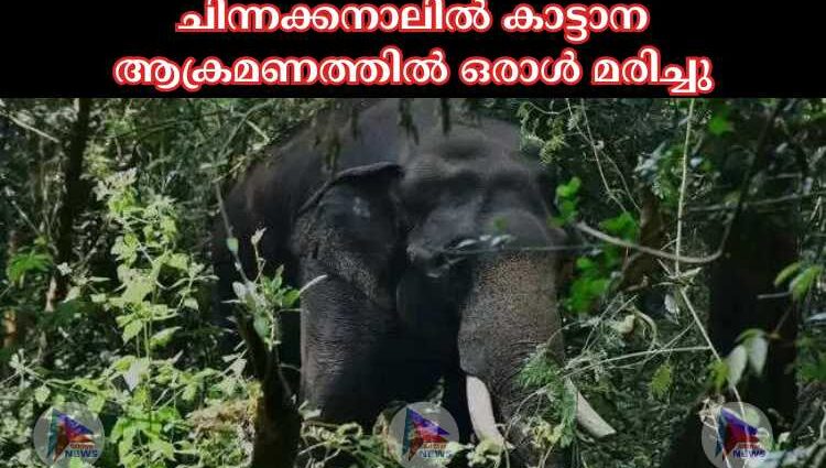 ചിന്നക്കനാലില്‍ കാട്ടാന ആക്രമണത്തില്‍ ഒരാള്‍ മരിച്ചു