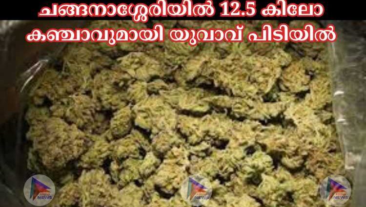 ചങ്ങനാശ്ശേരിയില്‍ 12.5 കിലോ കഞ്ചാവുമായി യുവാവ് പിടിയില്‍