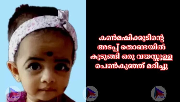 കണ്‍മഷിക്കൂടിന്റെ അടപ്പ് തൊണ്ടയില്‍ കുടുങ്ങി ഒരു വയസ്സുള്ള പെണ്‍കുഞ്ഞ് മരിച്ചു