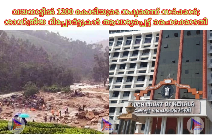 വയനാട്ടില്‍ 1200 കോടിയുടെ നഷ്ടമെന്ന് സര്‍ക്കാര്‍; ശാസ്ത്രീയ റിപ്പോര്‍ട്ടുകള്‍ ആവശ്യപ്പെട്ട് ഹൈക്കോടതി