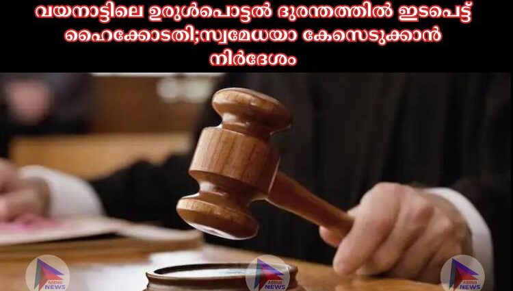 വയനാട്ടിലെ ഉരുള്‍പൊട്ടല്‍ ദുരന്തത്തില്‍ ഇടപെട്ട് ഹൈക്കോടതി;സ്വമേധയാ കേസെടുക്കാൻ നിര്‍ദേശം