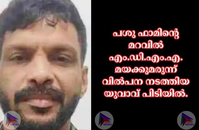 പശു ഫാമിന്റെ മറവില്‍ എം.ഡി.എം.എ. മയക്കുമരുന്ന് വില്‍പന നടത്തിയ യുവാവ് പിടിയില്‍.