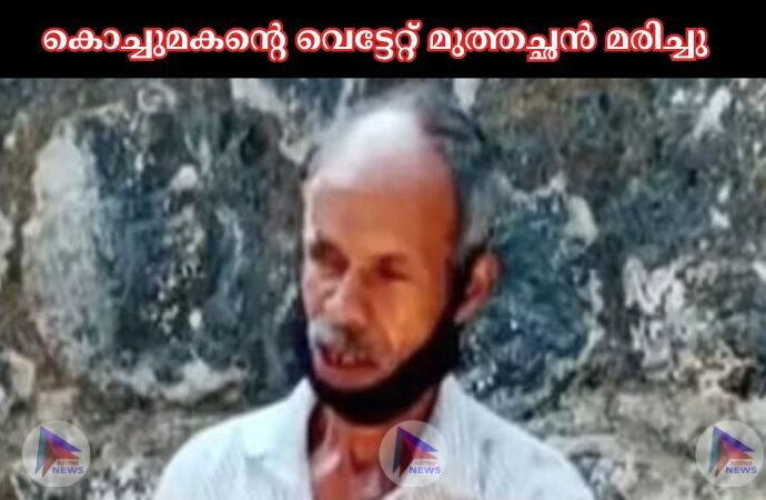 കൊച്ചുമകന്റെ വെട്ടേറ്റ് മുത്തച്ഛന്‍ മരിച്ചു