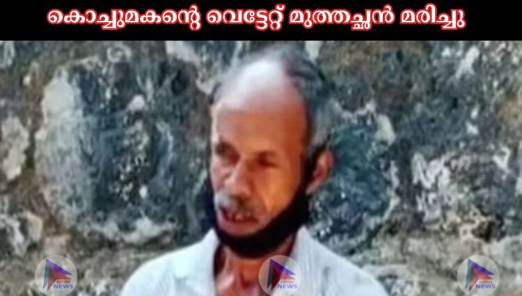 കൊച്ചുമകന്റെ വെട്ടേറ്റ് മുത്തച്ഛന്‍ മരിച്ചു