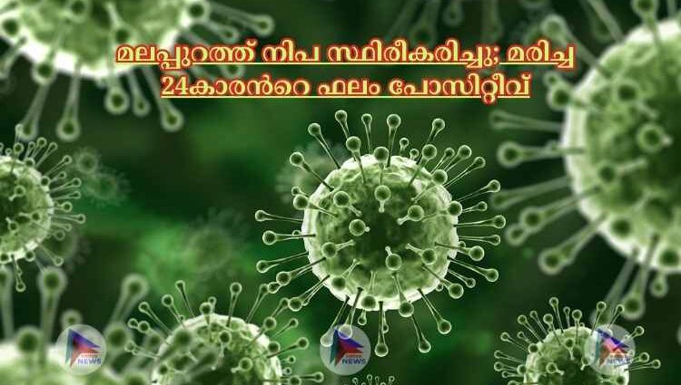 മലപ്പുറത്ത് നിപ സ്ഥിരീകരിച്ചു; മരിച്ച 24കാരന്‍റെ ഫലം പോസിറ്റീവ്