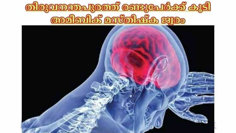 തിരുവനന്തപുരത്ത് രണ്ടുപേര്‍ക്ക് കൂടി അമീബിക് മസ്തിഷ്ക ജ്വരം