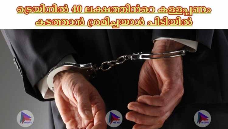 ട്രെയിനില്‍ 40 ലക്ഷത്തിന്‍റെ കള്ളപ്പണം കടത്താന്‍ ശ്രമിച്ചയാള്‍ പിടിയില്‍