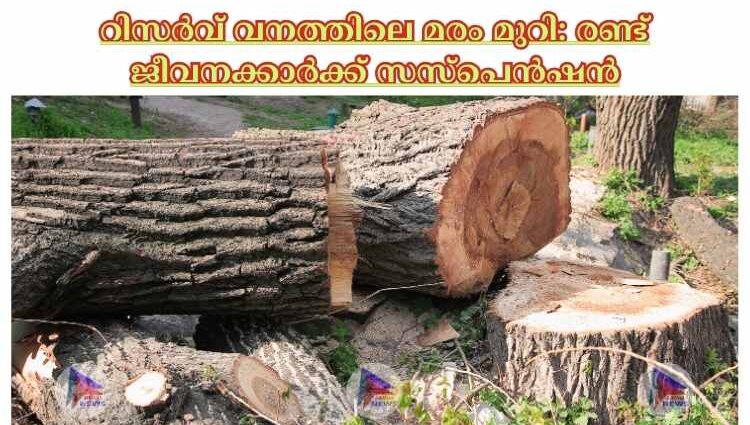 റിസര്‍വ് വനത്തിലെ മരം മുറി: രണ്ട് ജീവനക്കാര്‍ക്ക് സസ്പെൻഷൻ