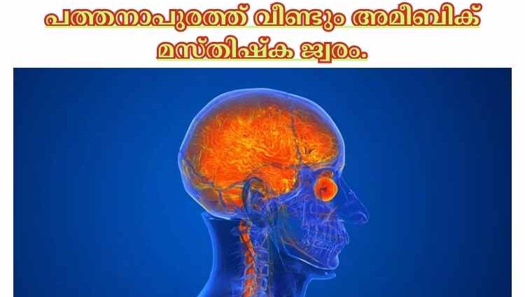 പത്തനാപുരത്ത് വീണ്ടും അമീബിക് മസ്തിഷ്‌ക ജ്വരം.