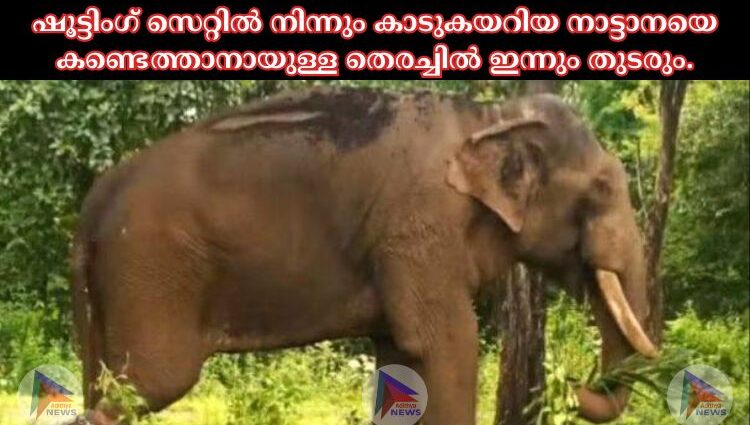 ഷൂട്ടിംഗ് സെറ്റില്‍ നിന്നും കാടുകയറിയ നാട്ടാനയെ കണ്ടെത്താനായുള്ള തെരച്ചില്‍ ഇന്നും തുടരും.