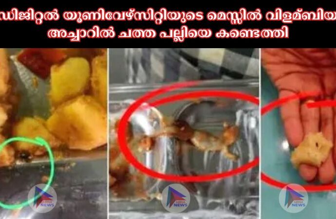 ഡിജിറ്റല്‍ യൂണിവേഴ്സിറ്റിയുടെ മെസ്സില്‍ വിളമ്ബിയ അച്ചാറില്‍ ചത്ത പല്ലിയെ കണ്ടെത്തി