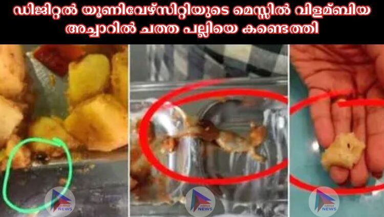 ഡിജിറ്റല്‍ യൂണിവേഴ്സിറ്റിയുടെ മെസ്സില്‍ വിളമ്ബിയ അച്ചാറില്‍ ചത്ത പല്ലിയെ കണ്ടെത്തി