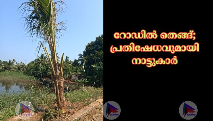 റോഡില്‍ തെങ്ങ്; പ്രതിഷേധവുമായി നാട്ടുകാര്‍