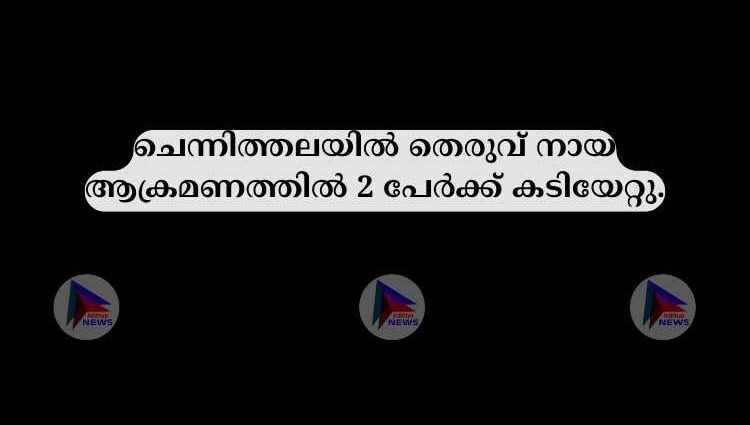 ചെന്നിത്തലയിൽ തെരുവ് നായ ആക്രമണത്തിൽ 2 പേർക്ക് കടിയേറ്റു.