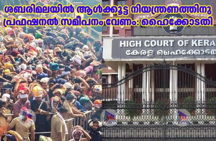 ശബരിമലയിൽ ആൾക്കൂട്ട നിയന്ത്രണത്തിനു പ്രഫഷനൽ സമീപനം വേണം: ഹൈക്കോടതി