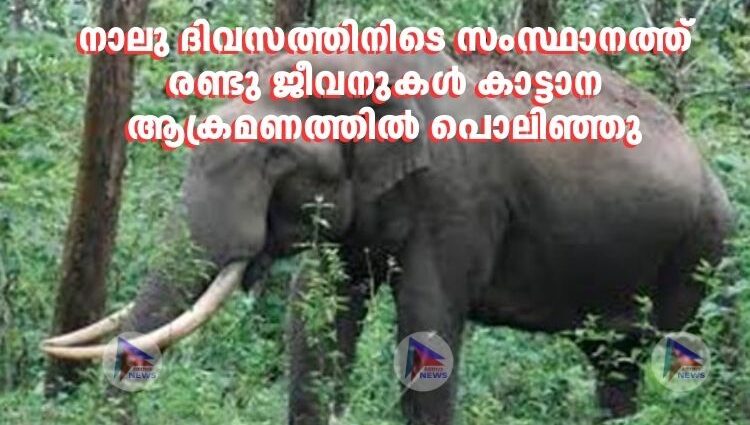 നാലു ദിവസത്തിനിടെ സംസ്ഥാനത്ത് രണ്ടു ജീവനുകള്‍ കാട്ടാന ആക്രമണത്തില്‍ പൊലിഞ്ഞു