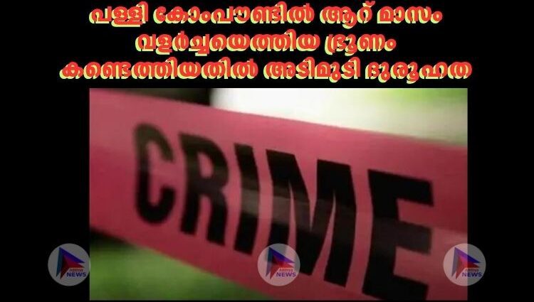 പള്ളി കോംപൗണ്ടിൽ ആറ് മാസം വളർച്ചയെത്തിയ ഭ്രൂണം കണ്ടെത്തിയതിൽ അടിമുടി ദുരൂഹത