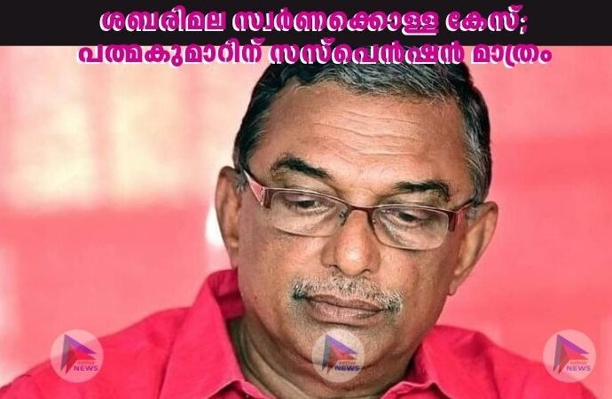 ശബരിമല സ്വർണക്കൊള്ള കേസ്; പത്മകുമാറിന് സസ്പെൻഷൻ മാത്രം