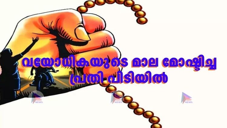 വയോധികയുടെ മാല മോഷ്ടിച്ച പ്രതി പിടിയില്‍