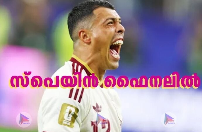 സ്പെയിൻ ഫൈനലില്‍