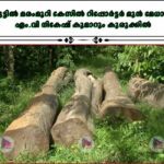 മുട്ടില്‍ മരംമുറി കേസില്‍ റിപ്പോര്‍ട്ടര്‍ മുന്‍ മേധാവി എം.വി നികേഷ് കുമാറും കുരുക്കില്‍