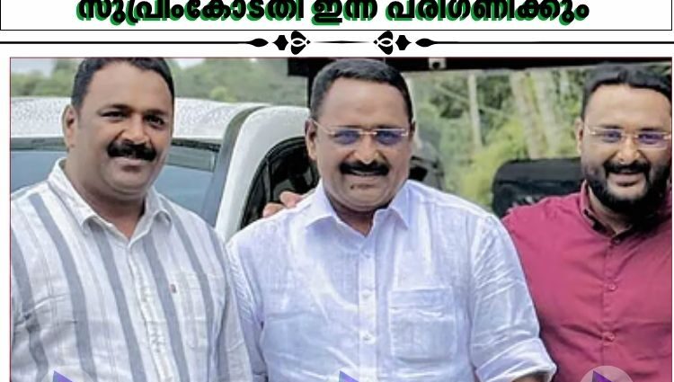 മുട്ടില്‍ മരംമുറി കേസ്: വിചാരണ തടയണമെന്ന പ്രതികളുടെ ഹര്‍ജി സുപ്രീംകോടതി ഇന്ന് പരിഗണിക്കും