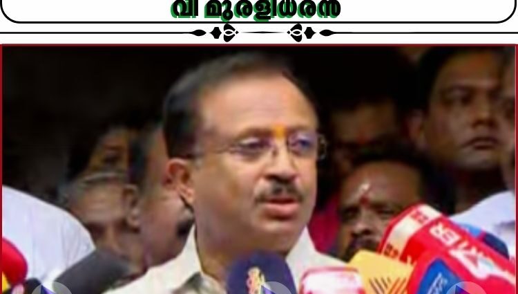 ഷോൺ ജോർജിനെതിരെ കേന്ദ്ര നേതൃത്വത്തിന് പരാതി നൽകിയിട്ടില്ലെന്ന് വി മുരളീധരൻ