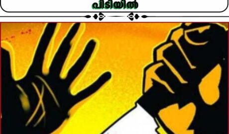 ഇടുക്കി പീരുമേട്ടില് ഇരട്ടക്കൊലപാതകം:പ്രതി പോലീസ് പിടിയില്